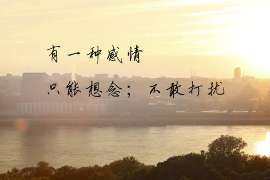 曲麻莱市私家侦探公司